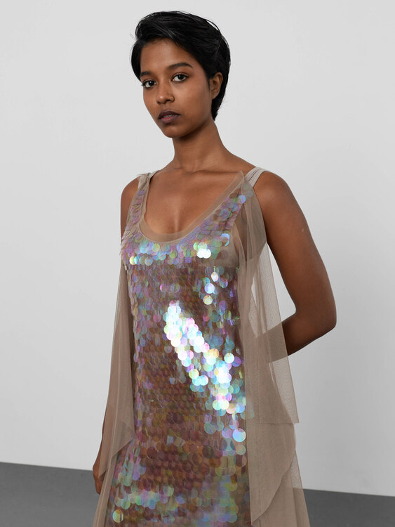 Mesh Sequin Dress 